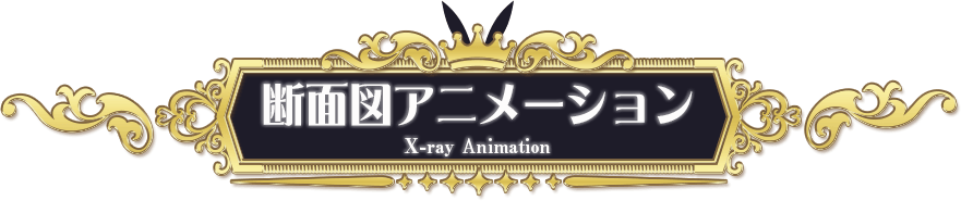 断面図アニメーション