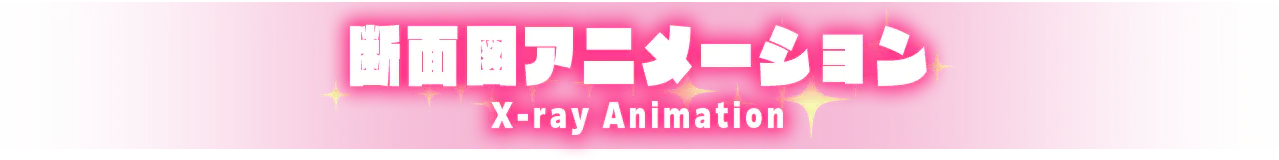 断面図アニメーション