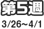 第5週